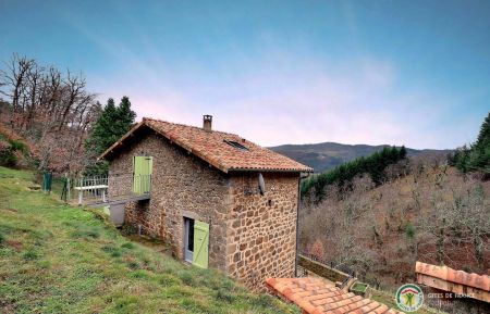 G&icirc;te n&deg;79706 D&eacute;saignes - Ard&egrave;che - g&icirc;te Le Cros de Mazoyer