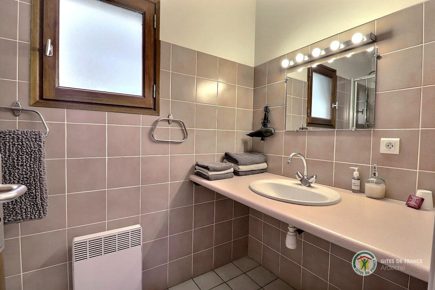 Salle d'eau de la Chambre La Paillère avec douche, vasque. Toilette séparé photo 21