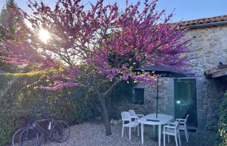 G&icirc;te n&deg;183708 Pradons - Ard&egrave;che - Entr&eacute;e du g&icirc;te et son espace privatif