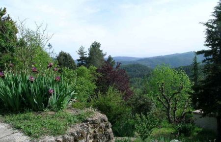 G&icirc;te n&deg;278002 Saint-Michel-de-Chabrillanoux - Ard&egrave;che - photo