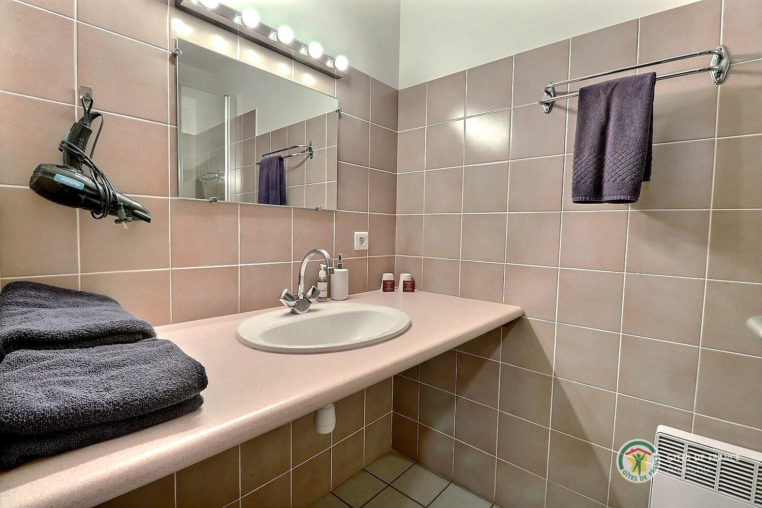 Salle d'eau de la chambre La Fenière avec vasque et douche photo 17