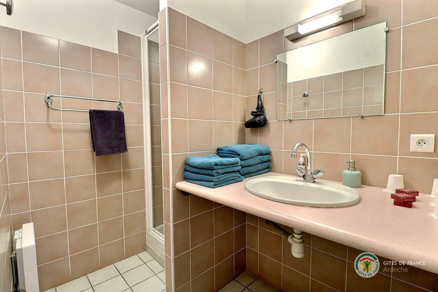 Salle d'eau de la Chambre Le Pigeonnier avec douche et vasque. Toilette séparé photo 26