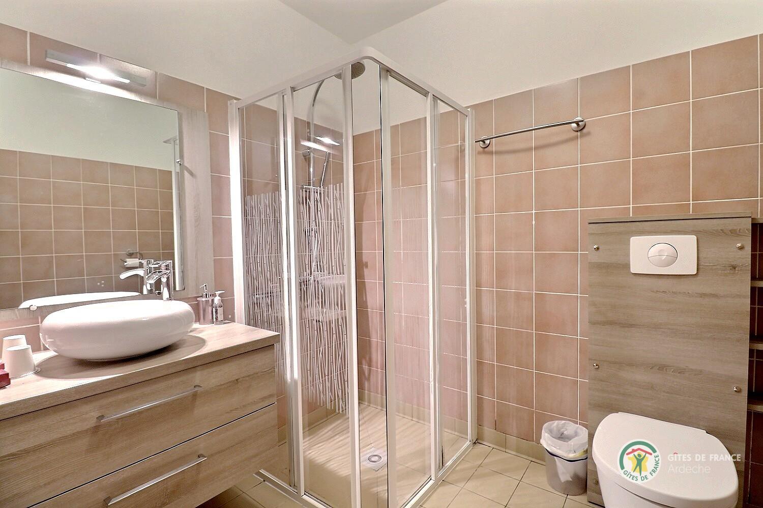 Salle d'eau de la Chambre Le Grenier avec douche, vasque et toilette photo 7