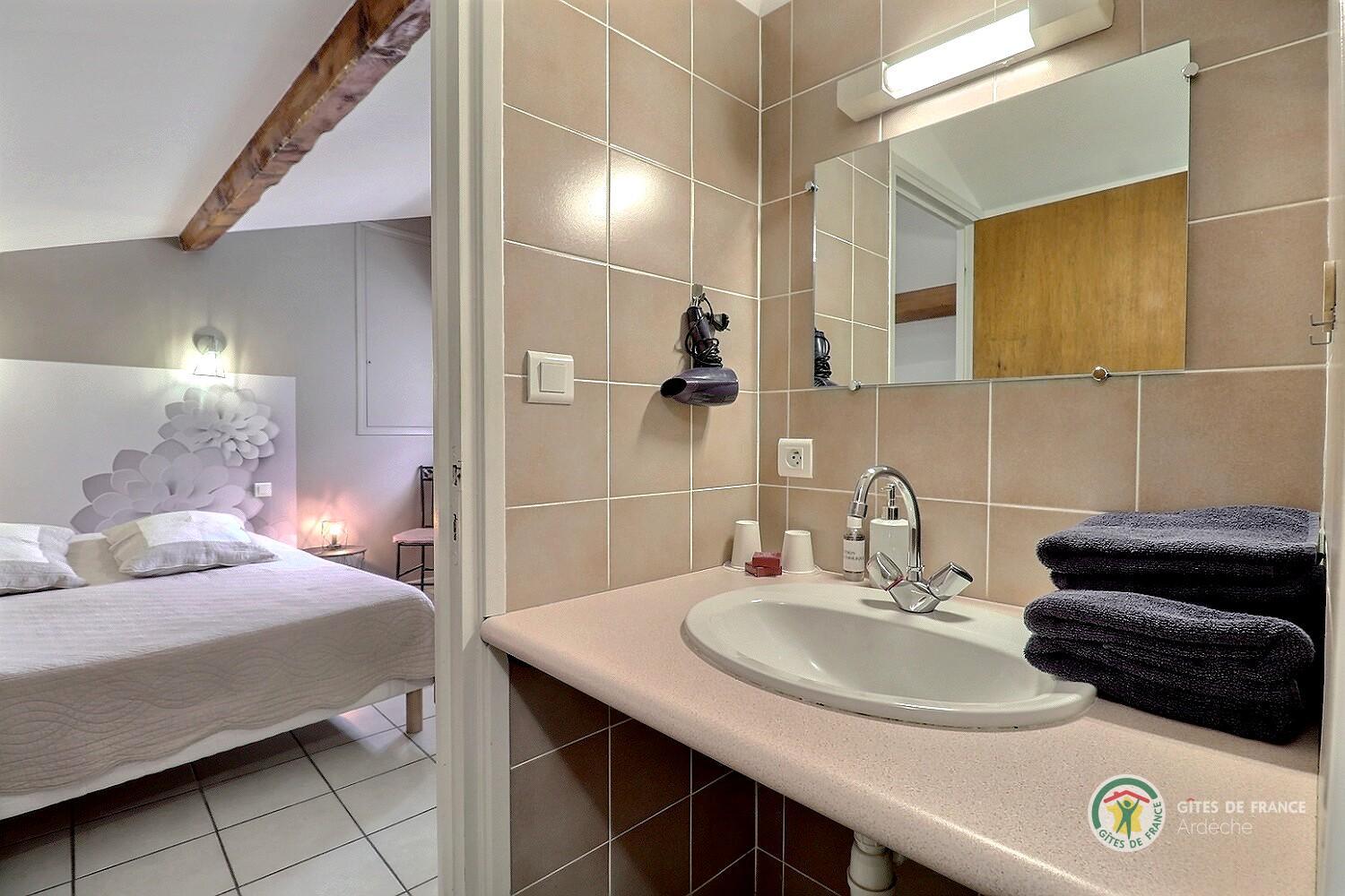 Salle d'eau de la Chambre La Mansarde avec douche, vasque et toilette photo 12
