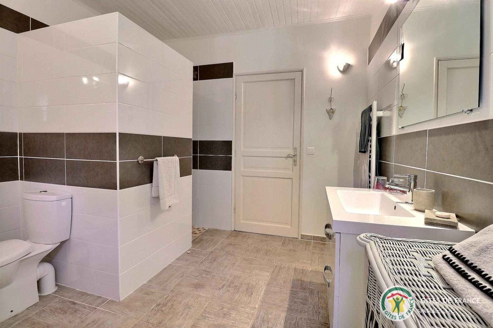 Salle d'eau privative avec grande douche italienne et WC photo 9