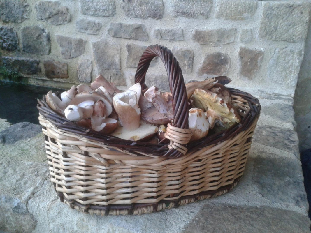 photo 34