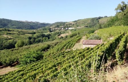 G&icirc;te n&deg;228700 Saint-D&eacute;sirat - Ard&egrave;che - photoEte