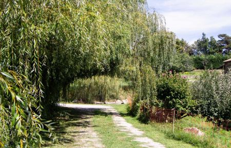 Gîte n°236702 Saint-Félicien - Ardèche - photoEte